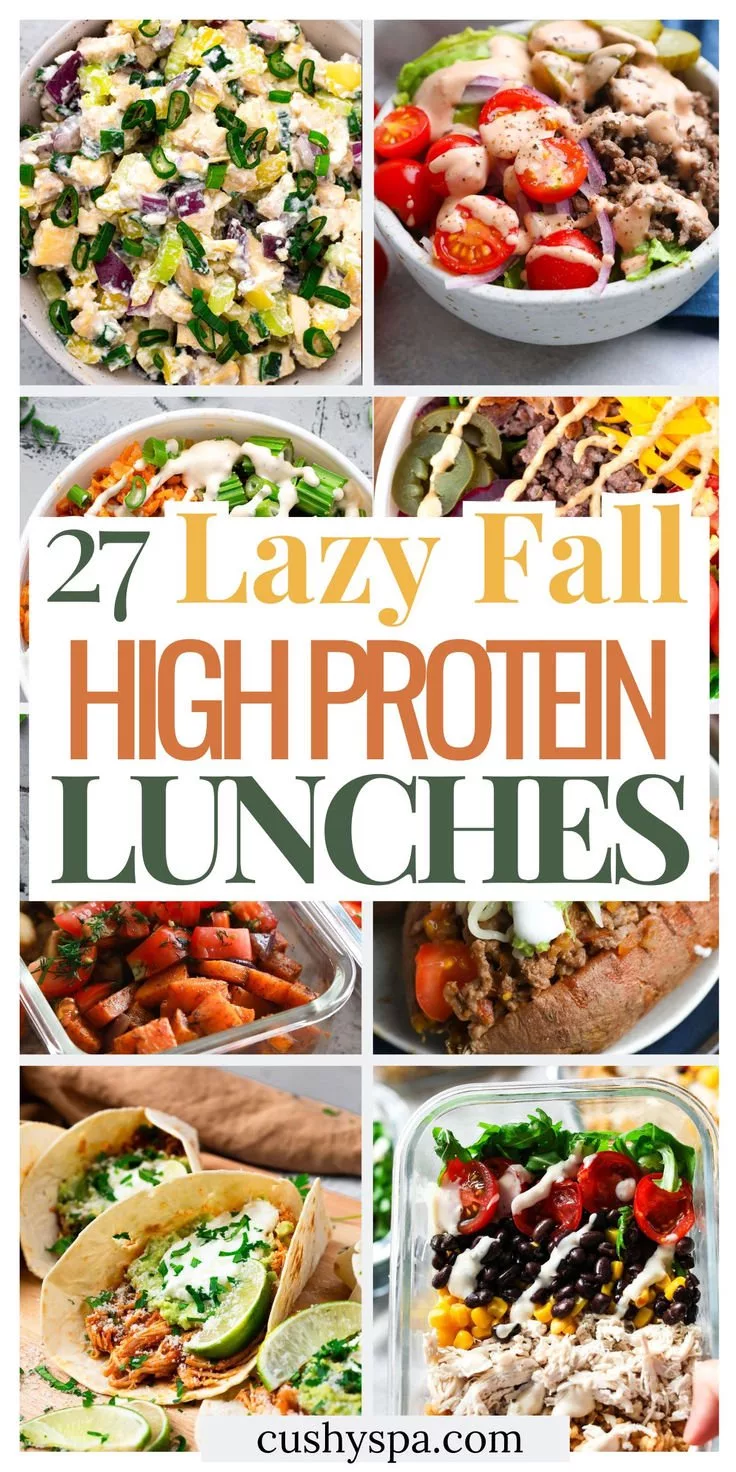27 High Protein Lunch Ideas You Can Make This Fall No Matter How Lazy You Are