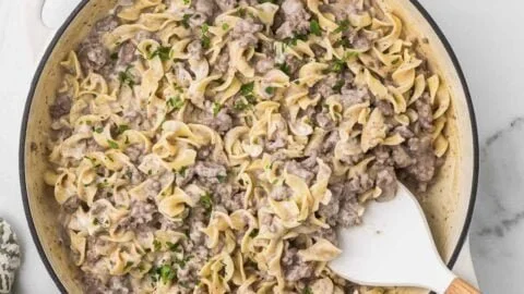 Delicious ground beef stroganoff served on a plate with pasta and garnished.