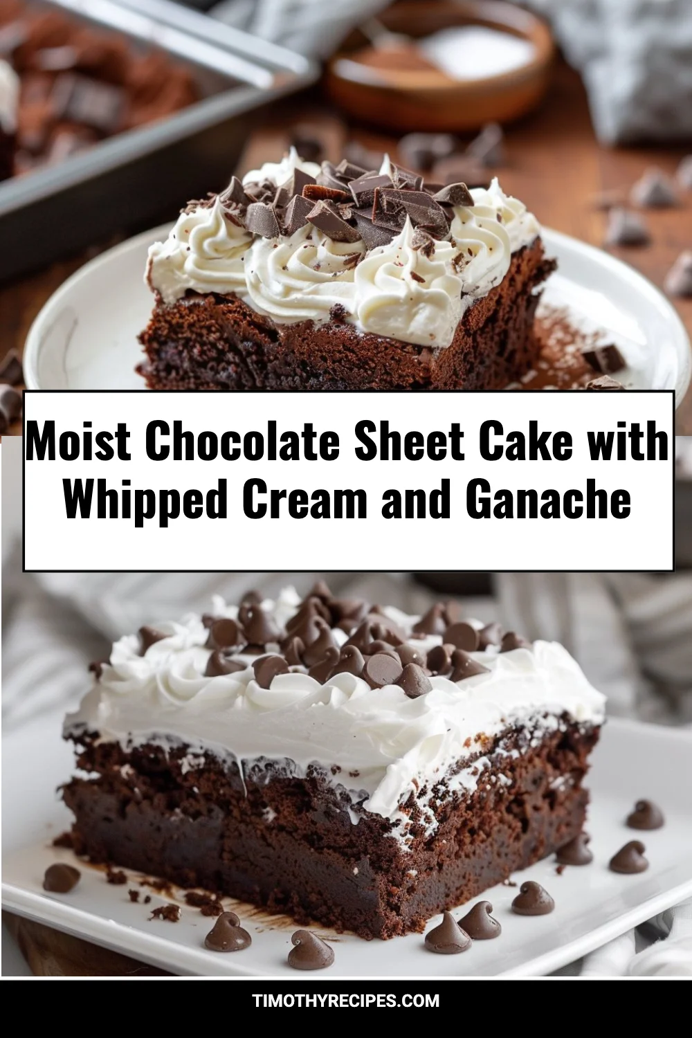 Moist Chocolate Sheet Cake with Whipped Cream and Ganache