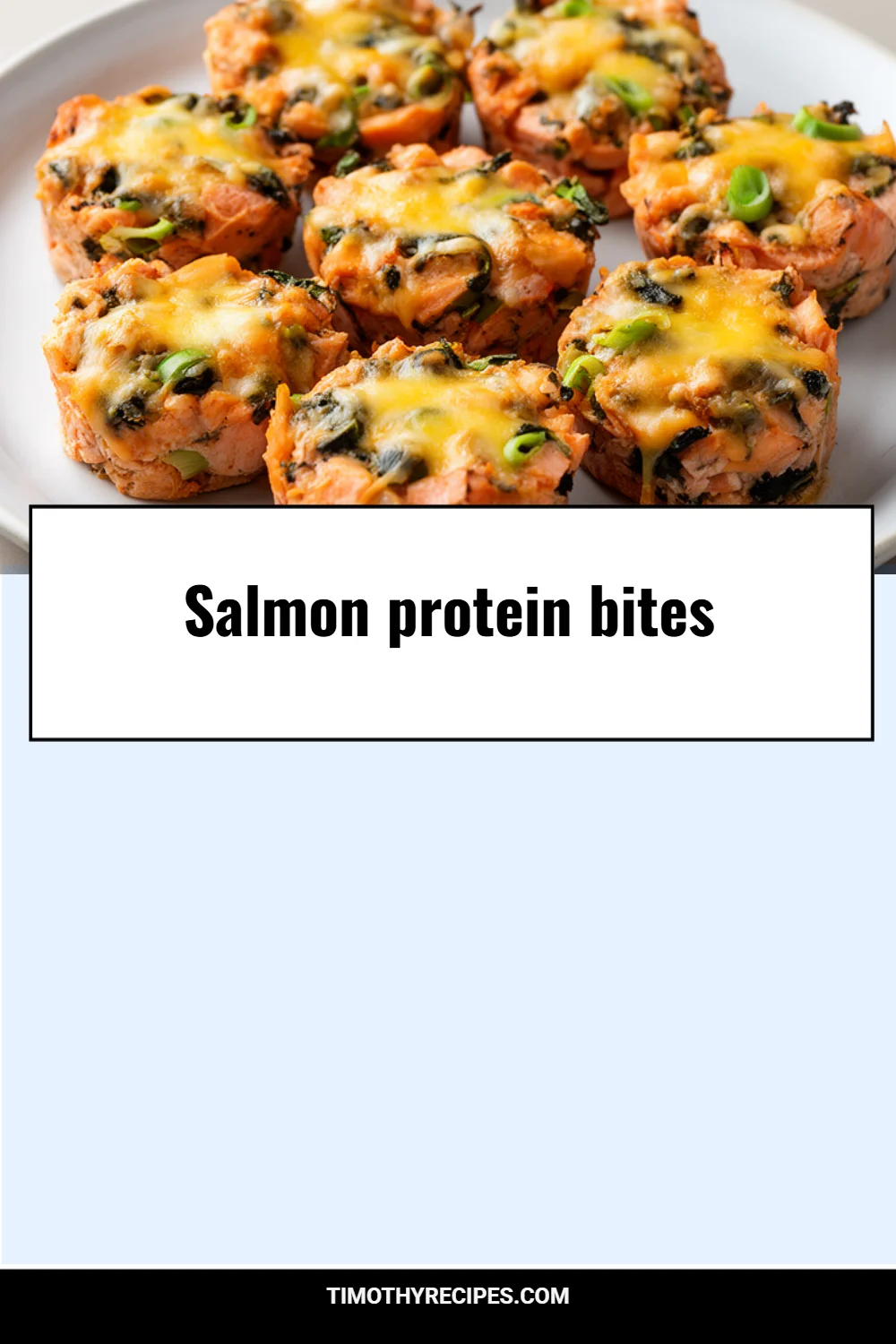 Salmon protein bites